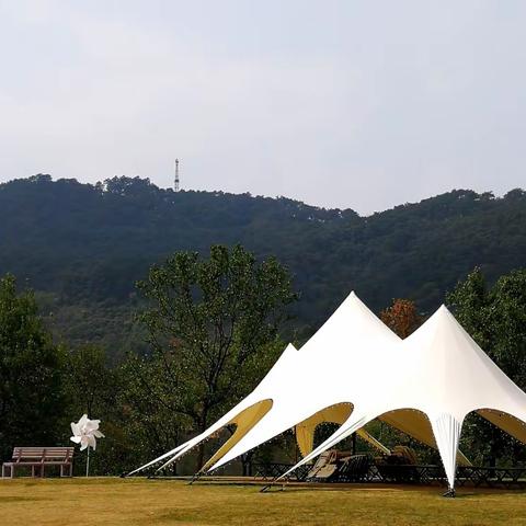 欣赏青秀山上烂漫的春花