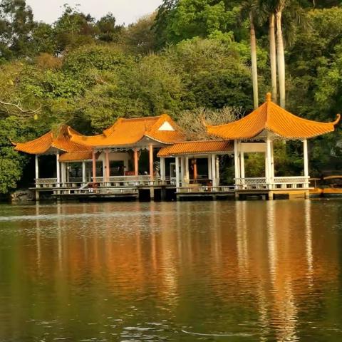 春天骑行…美丽的青秀山一瞥