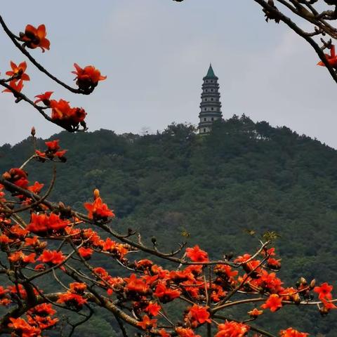 春天骑行在美丽的邕江边上