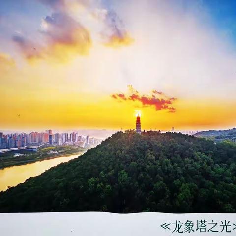 春日在青秀山顶上欣赏秀美青秀山照片展