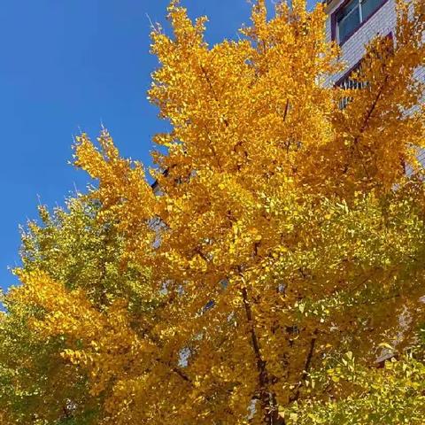 冬天里的散文诗