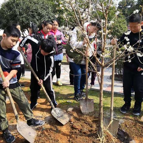 春暖花开，我们种毕业树啦