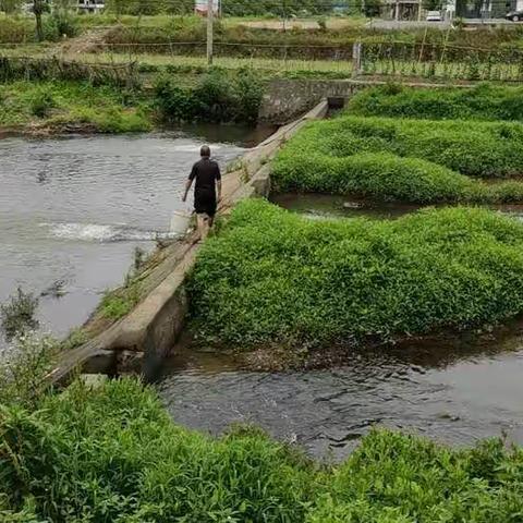 “厕所革命”进行时，“甜蜜小镇”大整治