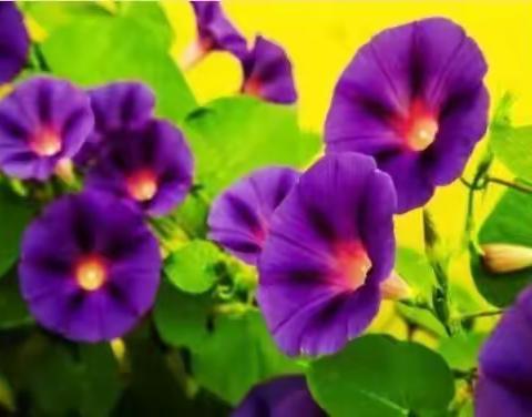 太原之梦QQ空间回放