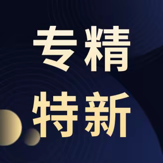 安徽省专精特新中小企业倍增行动方案