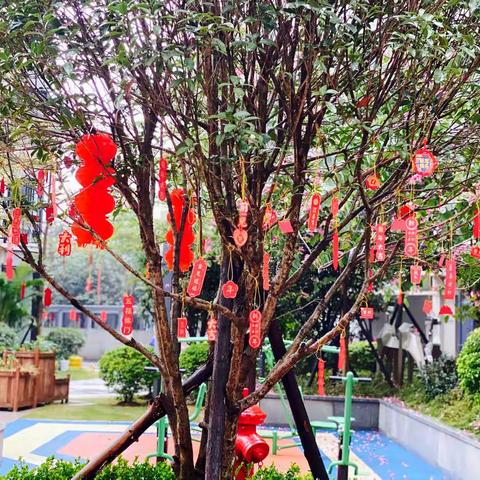 全员大扫除🧹，清理楼道，春节布场🏮，欢欢喜喜迎新年🎈🧨🧧