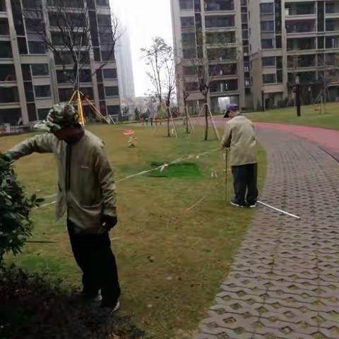 美化家园，我们在行动，我们在坚持，我们与您同行！