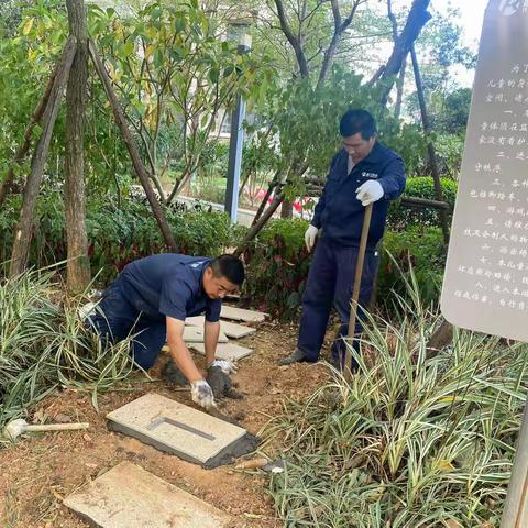 园区环境美颜提升，致力构建美好家园～