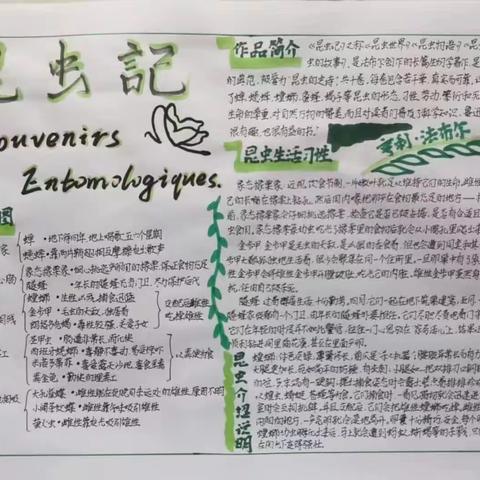 固隆中学120班暑期《昆虫记》读书活动展示