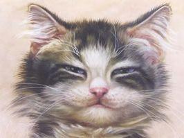 油画《猫在草丛中》创作步骤
