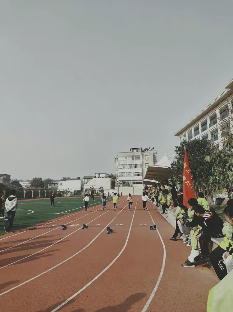 我校秋运会见闻