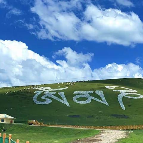 放飞在美仁大草原