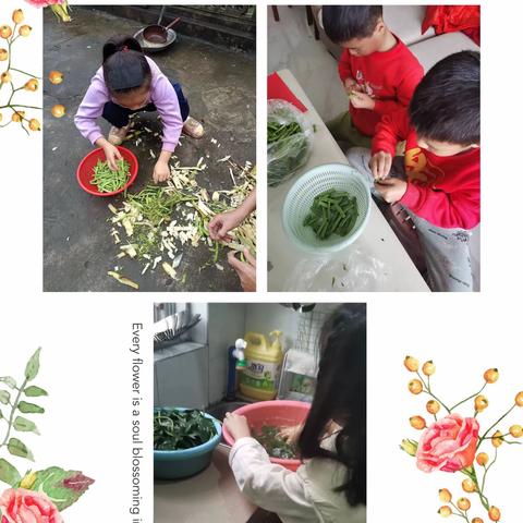 展特色作业，秀别样风采——﻿二（1）班特色寒假作业