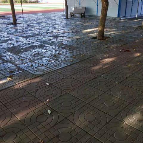 维护校园环境整洁，我们在行动———文昌市第一小学开展环境卫生整治工作