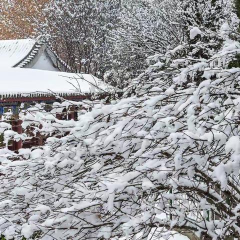 晋城下雪了