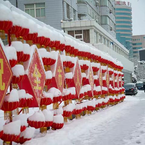 【lhx美篇】 定格瑞雪