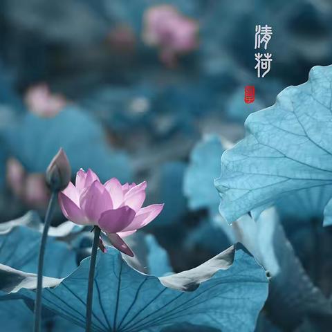 【lhx】 荷花水墨中国风习作