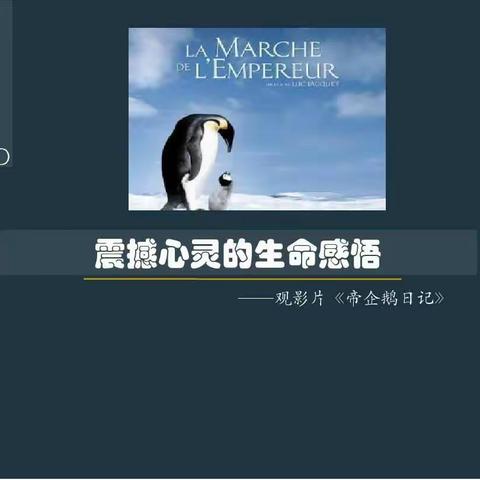 自然演绎温情——初中部电影课程之《帝企鹅日记》