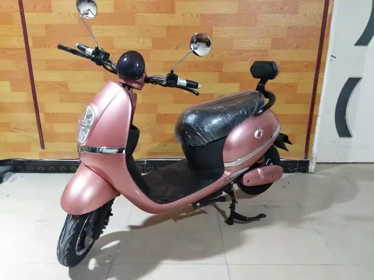 金卓玛电动车 定货15辆 送简易款金丝猴1辆 时间有限抓紧定购 活动