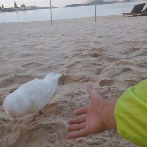 越南第二天:越来越囧，越来越好玩！