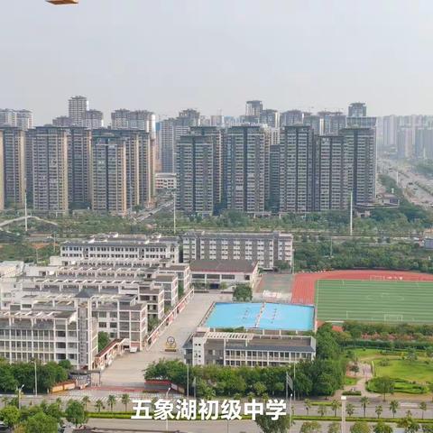 【大唐新希望.臻园】最新进度分享（7/27）