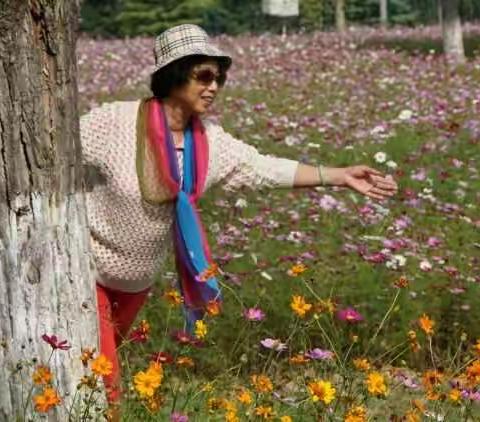 奥林匹克公园赏花看美景