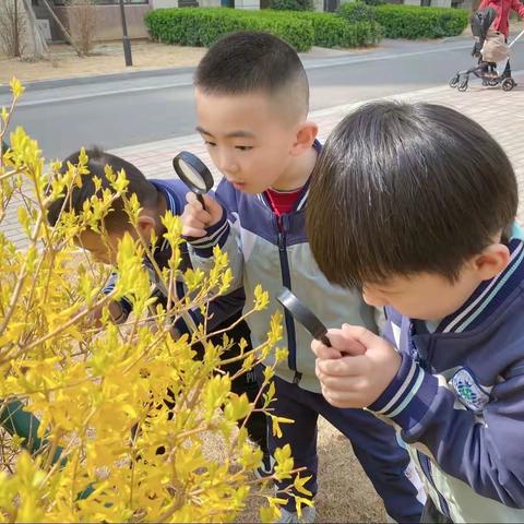 我和春天有个约会——雅思贝尔幼儿园牛津二班寻找春天活动