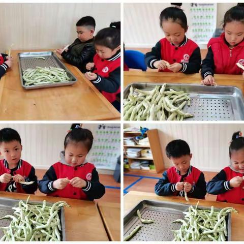 新华大拇指幼儿园大班🌸生活体验课程之——“巧手帮厨”择菜活动