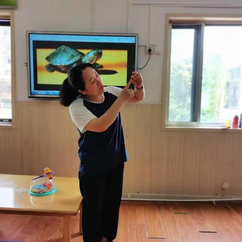 探秘乌龟——新华大拇指幼儿园西瓜一班