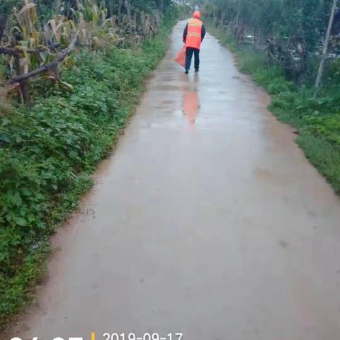 清尘环保陕州区分公司菜园乡（9月20日）