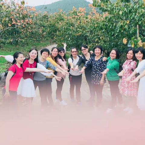 广西恭城，柿情画意，红红火火，柿柿如意