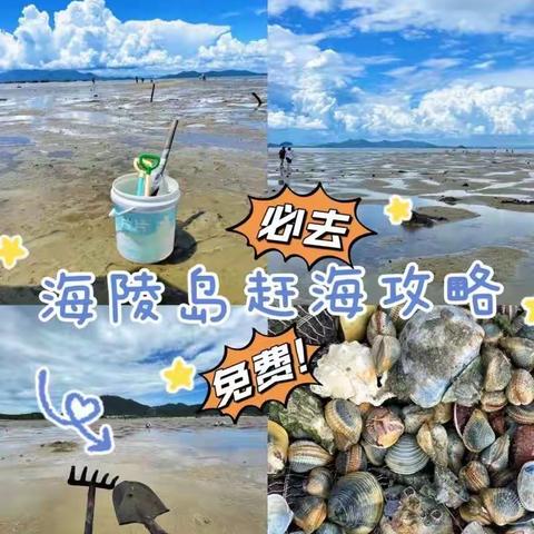 阳江海陵岛 赶海攻略