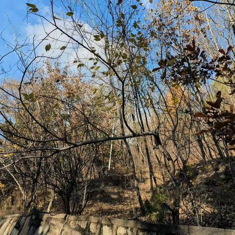 杺想事成的美篇