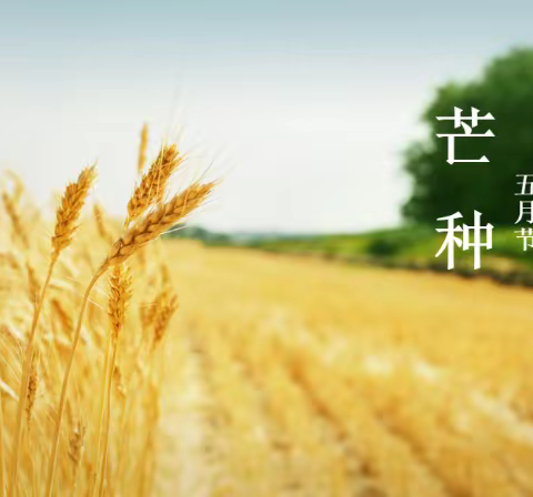 种下希望   收获美好