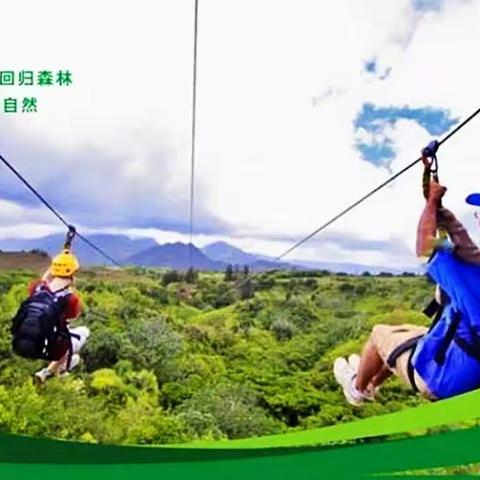 飞跃丛林✿冒险记