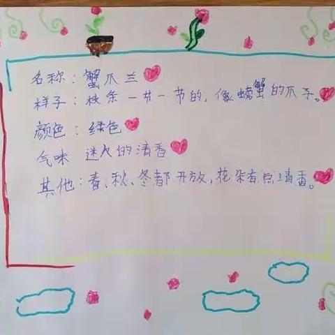 《我的植物朋友》优秀作品