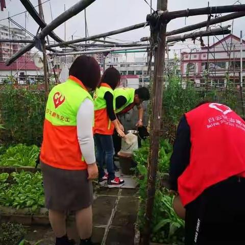 新市街开展“洁家园、除四害、保健康”主题爱国卫生专项统一行动