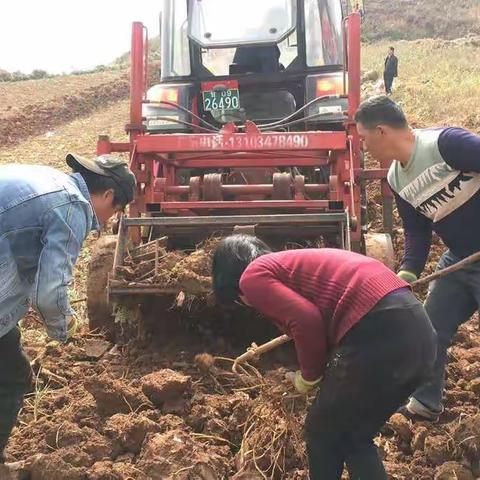 守初心    担使命扎实做好“三秋”农业机械收获工作