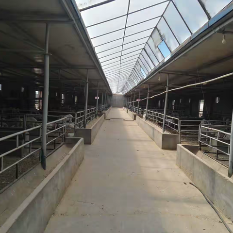 凝心聚力脱贫攻坚  奋力推进乡村振兴