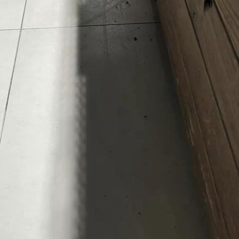 小歌的美篇