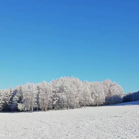 家乡的雪