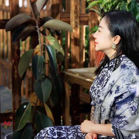 浓妆淡抹总相宜