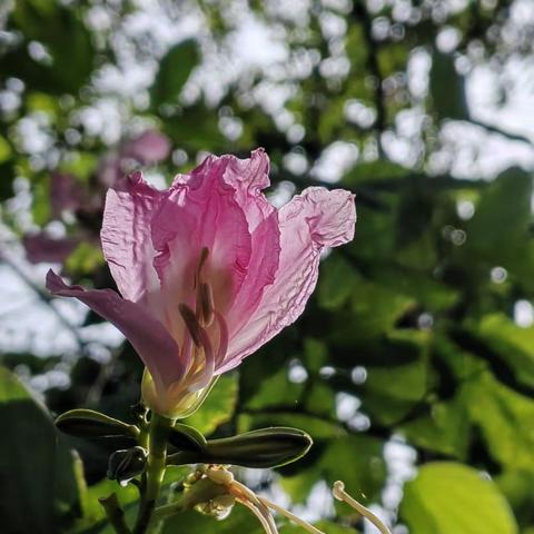 2022.12.4.七绝六首