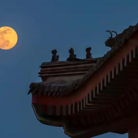 2022.11.24.唐 杜审言《秋夜宴临津郑明府宅》