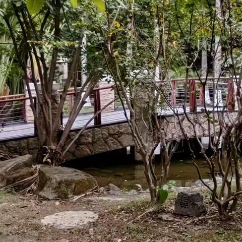 2022.12.18.七绝五首，新诗一首