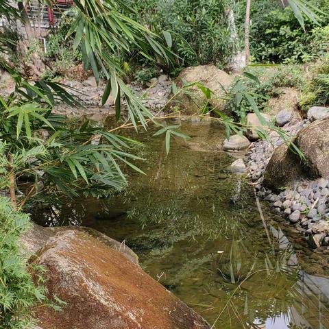 2022.12.9.诗三首（七绝、五言律诗、七言律诗）