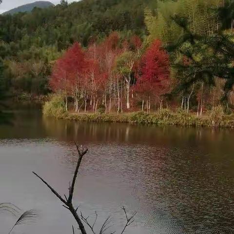 （我的散文）2021.4.3.“在波浪滔滔……”