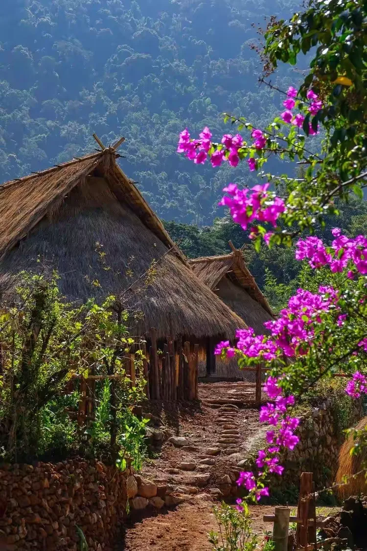 翁丁，中国最后一个原始部落村