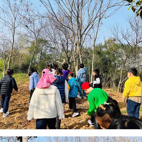 森林幼儿园芽芽班（第五周）