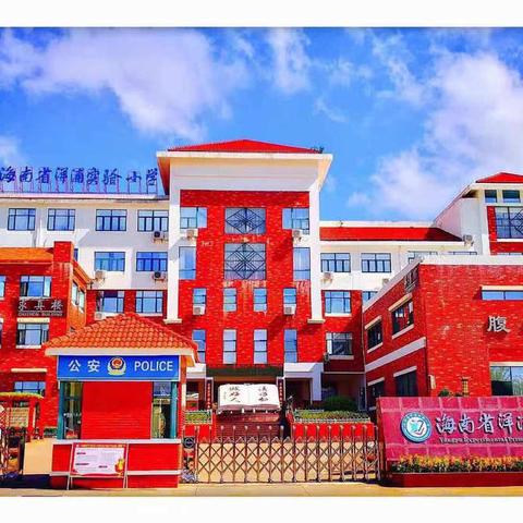 绽放的“海浪花”（第10周）